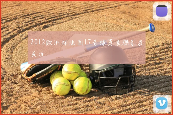 2012欧洲杯法国17号球员表现引发关注