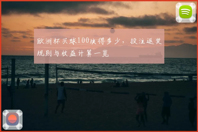 欧洲杯买球100块得多少，投注返奖规则与收益计算一览