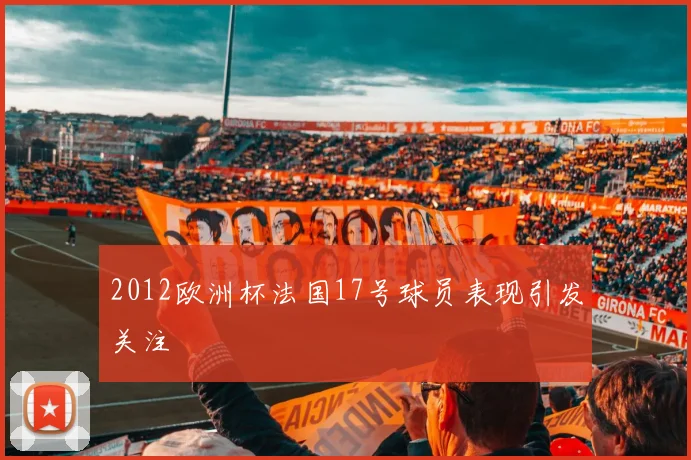 2012欧洲杯法国17号球员表现引发关注
