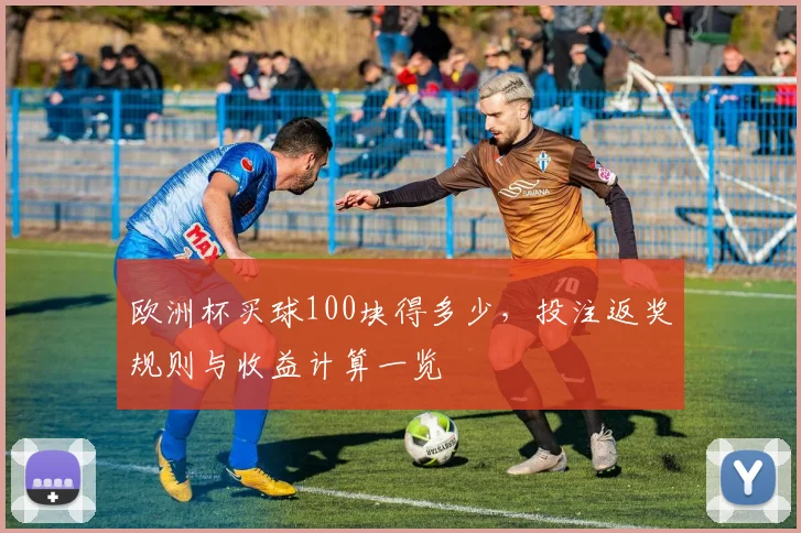 欧洲杯买球100块得多少，投注返奖规则与收益计算一览